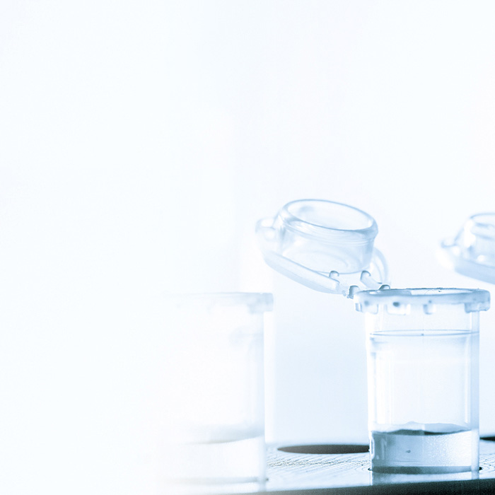 金沙(8087-js认证)娱场城-Officialwebsite