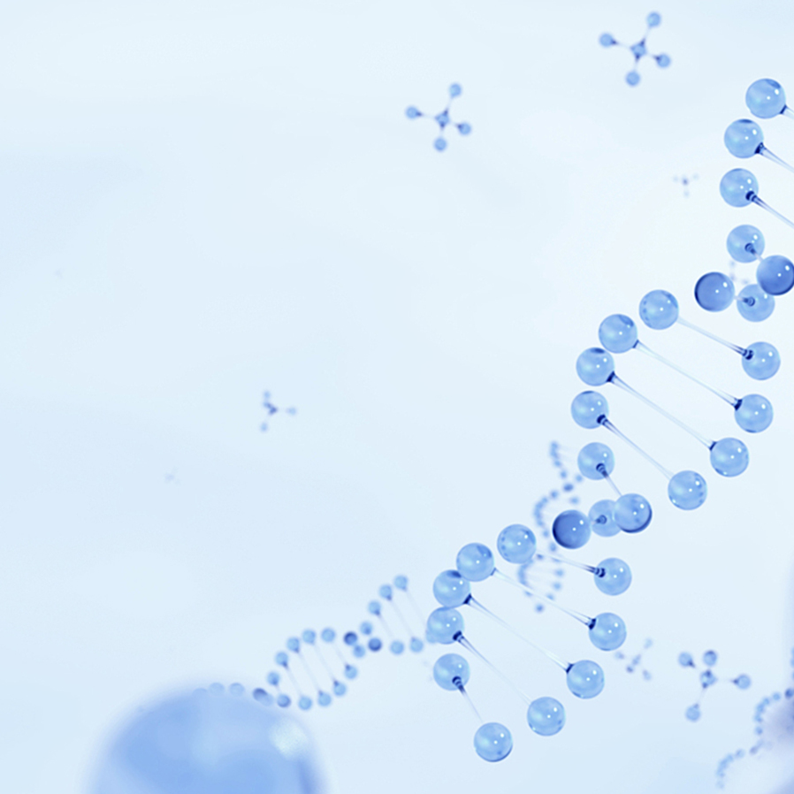 金沙(8087-js认证)娱场城-Officialwebsite