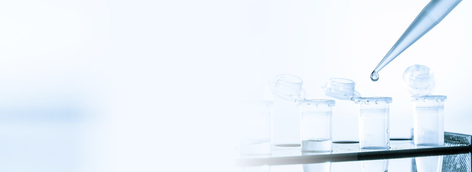 金沙(8087-js认证)娱场城-Officialwebsite